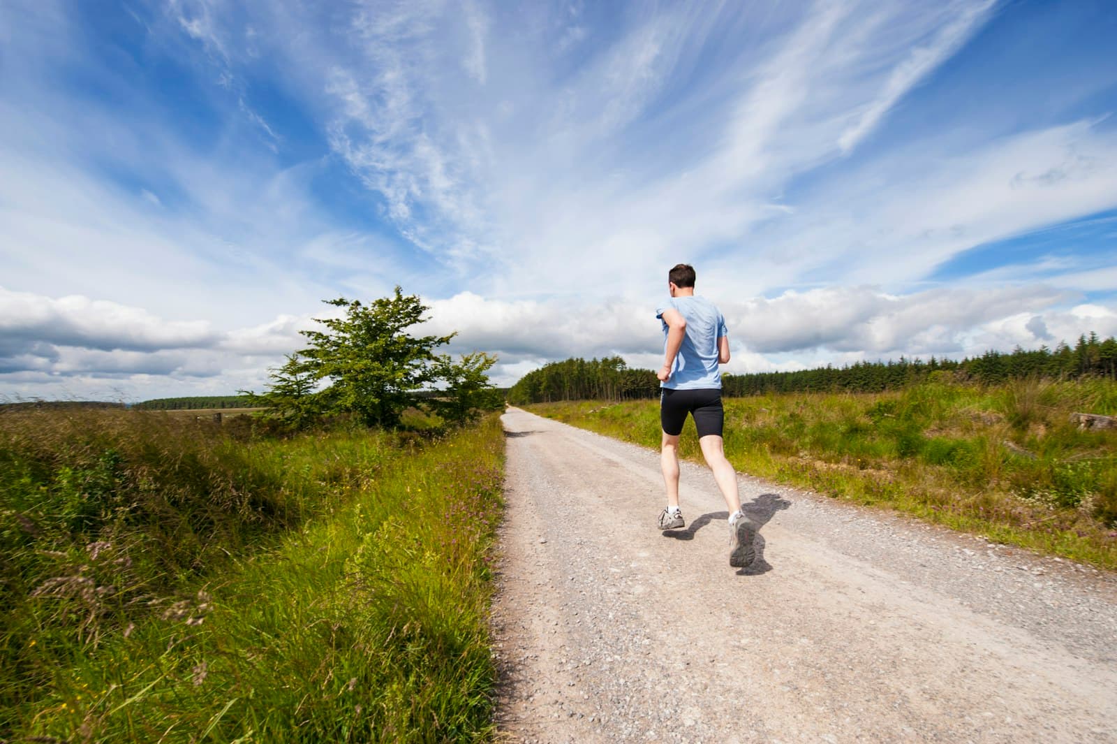 Runner holding a controlled tempo on the road